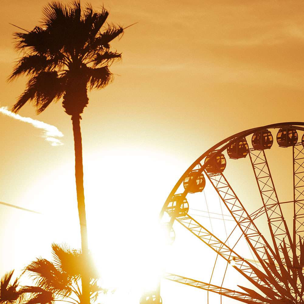 Golden hour with palm tree and ferris wheel