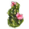 cactus icon